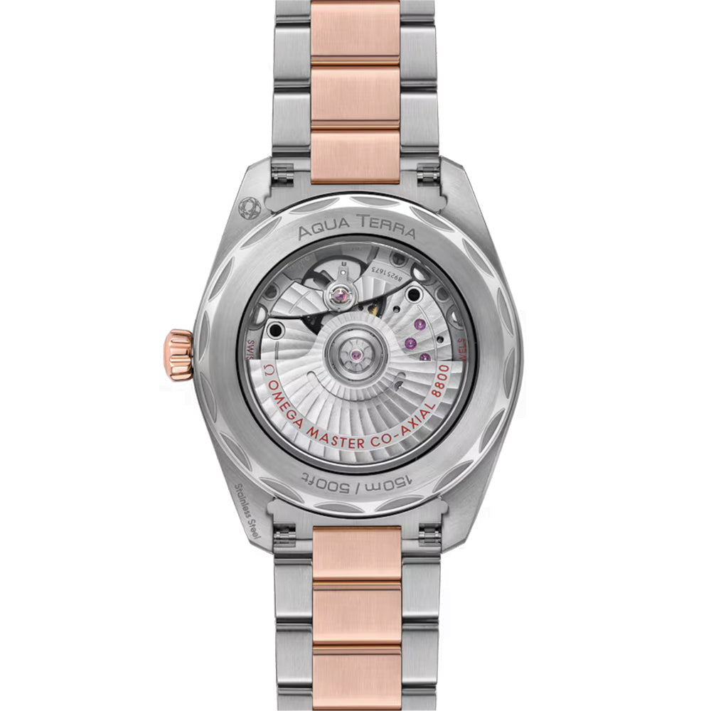 Seamaster Aqua Terra 150M Steel and Sedna? Gold 38mm - Grey on Bracelet
