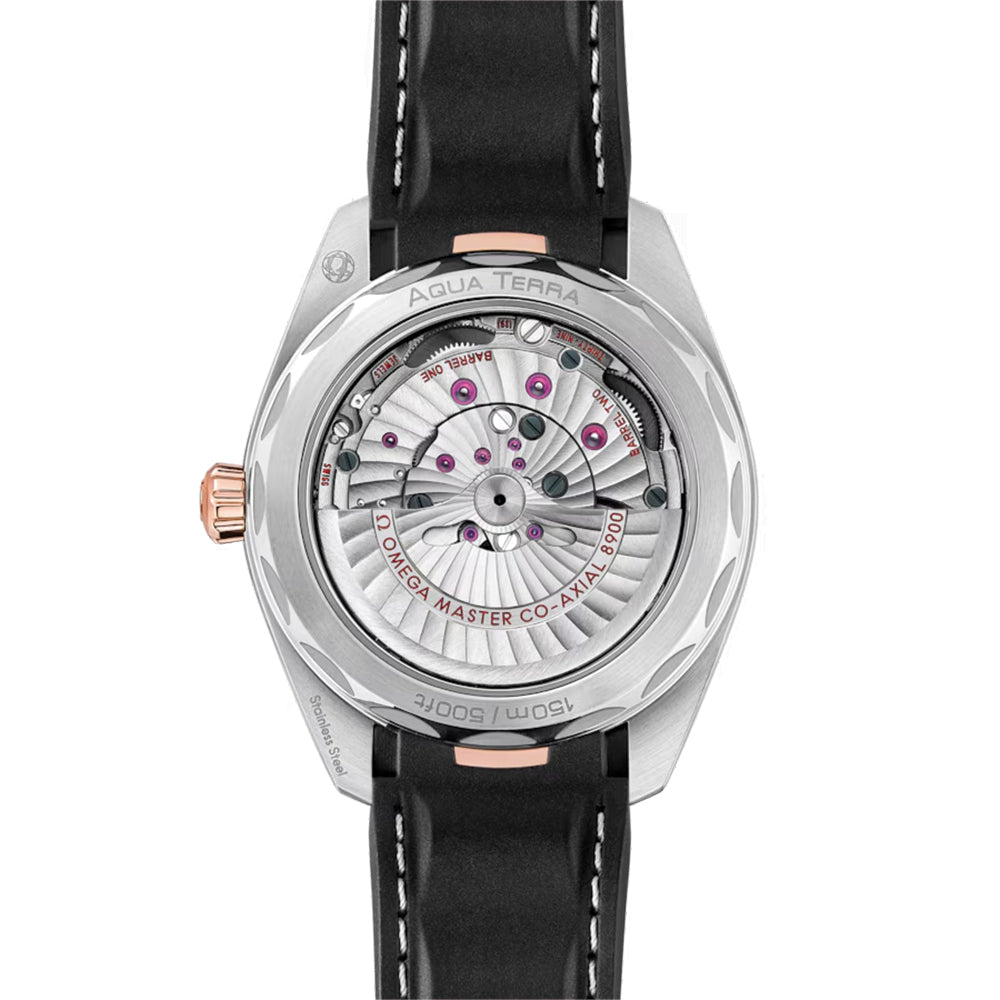 Seamaster Aqua Terra 150M Steel and Sedna? Gold 41mm - Silver on Rubber Strap